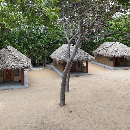 Peanut Farm Surf And Wild Resort - Arugambay Arugam Bay Esterno foto