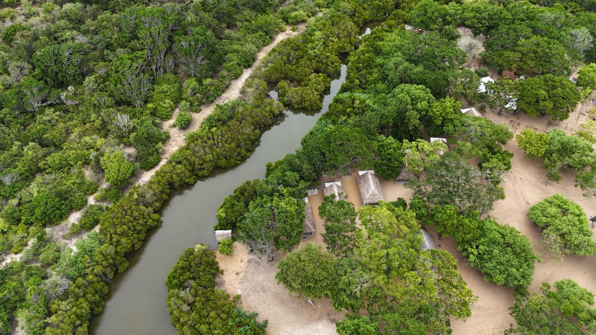 Peanut Farm Surf And Wild Resort - Arugambay Arugam Bay Esterno foto