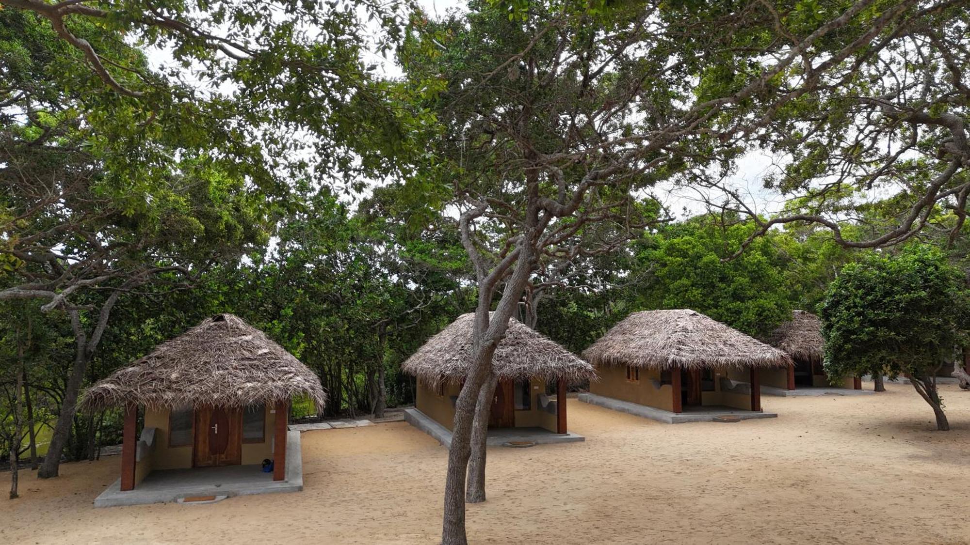 Peanut Farm Surf And Wild Resort - Arugambay Arugam Bay Esterno foto