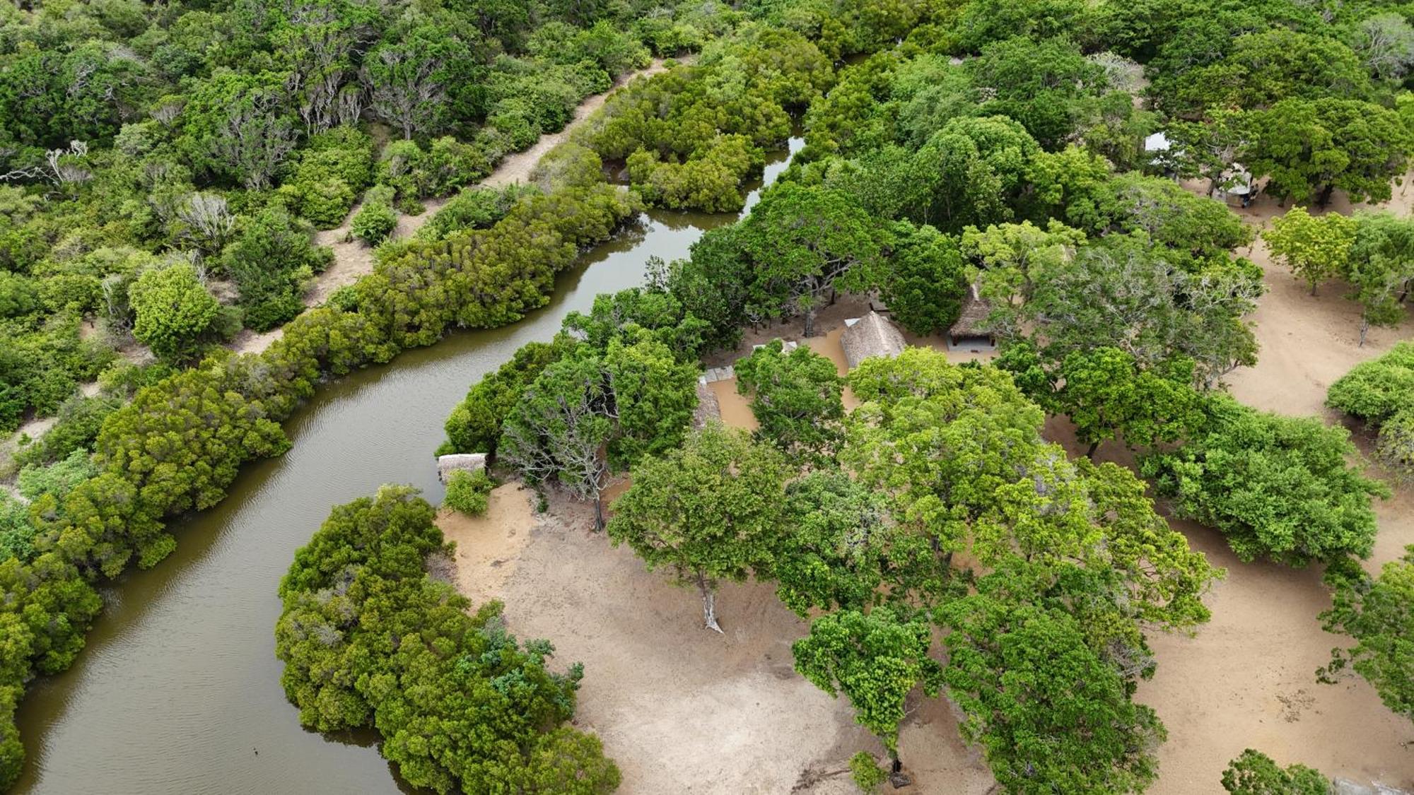Peanut Farm Surf And Wild Resort - Arugambay Arugam Bay Esterno foto