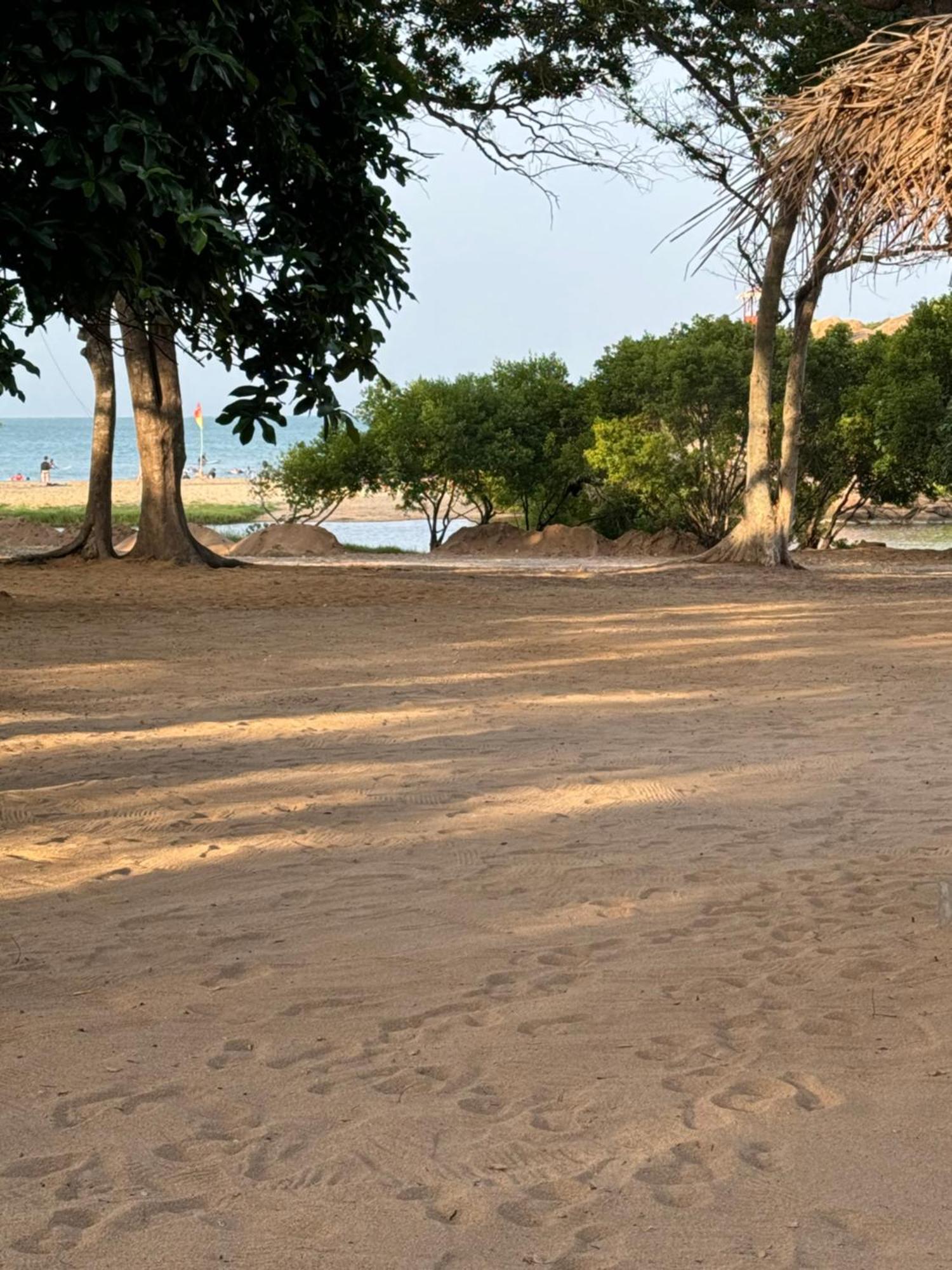 Peanut Farm Surf And Wild Resort - Arugambay Arugam Bay Esterno foto
