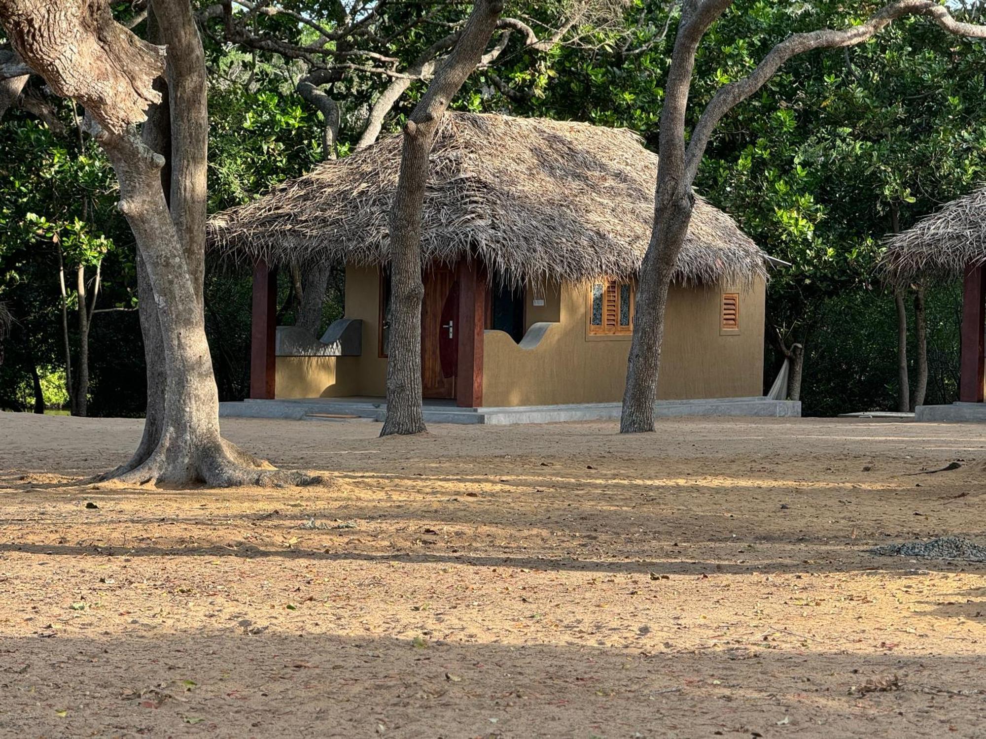 Peanut Farm Surf And Wild Resort - Arugambay Arugam Bay Esterno foto