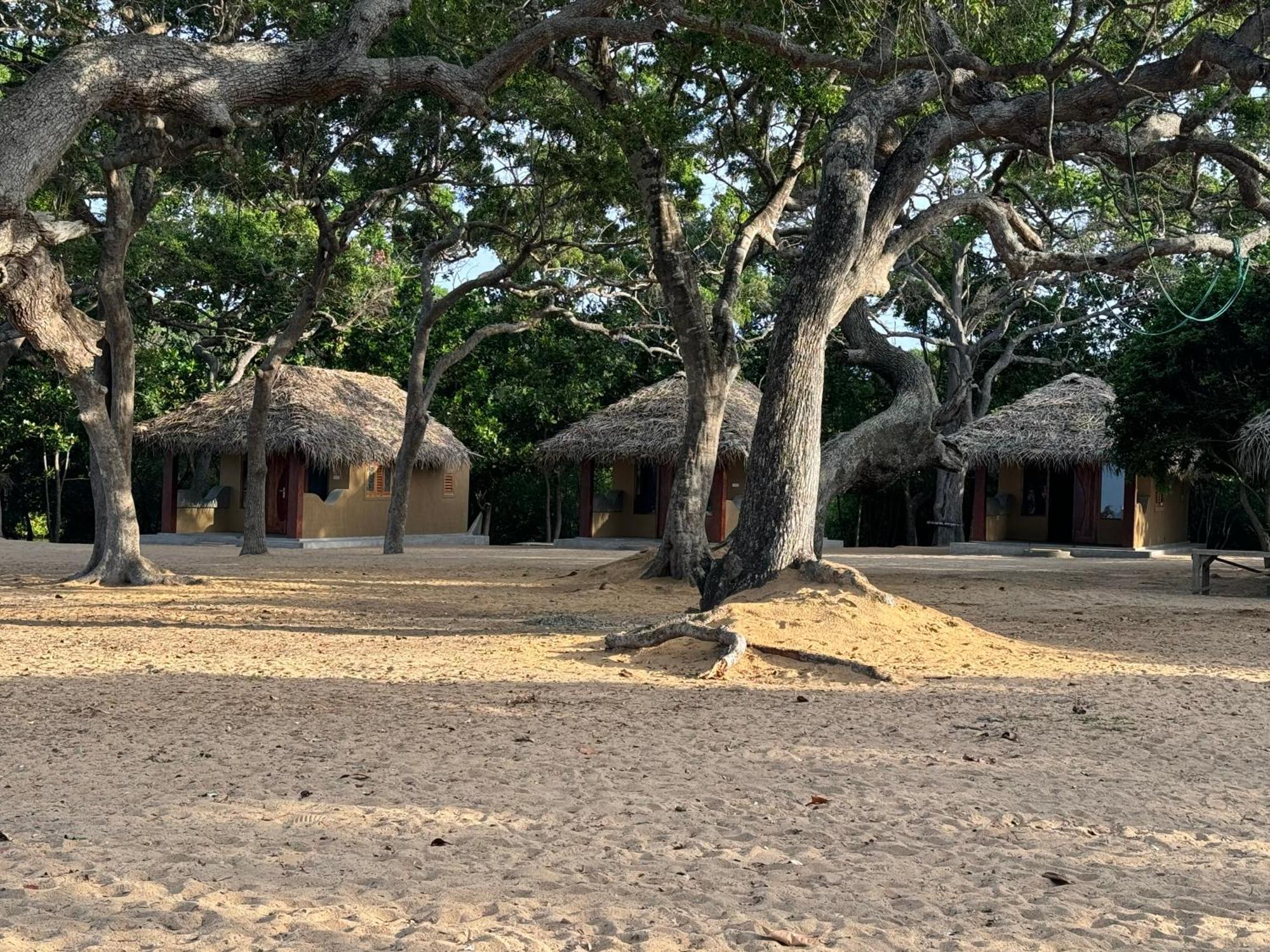 Peanut Farm Surf And Wild Resort - Arugambay Arugam Bay Esterno foto
