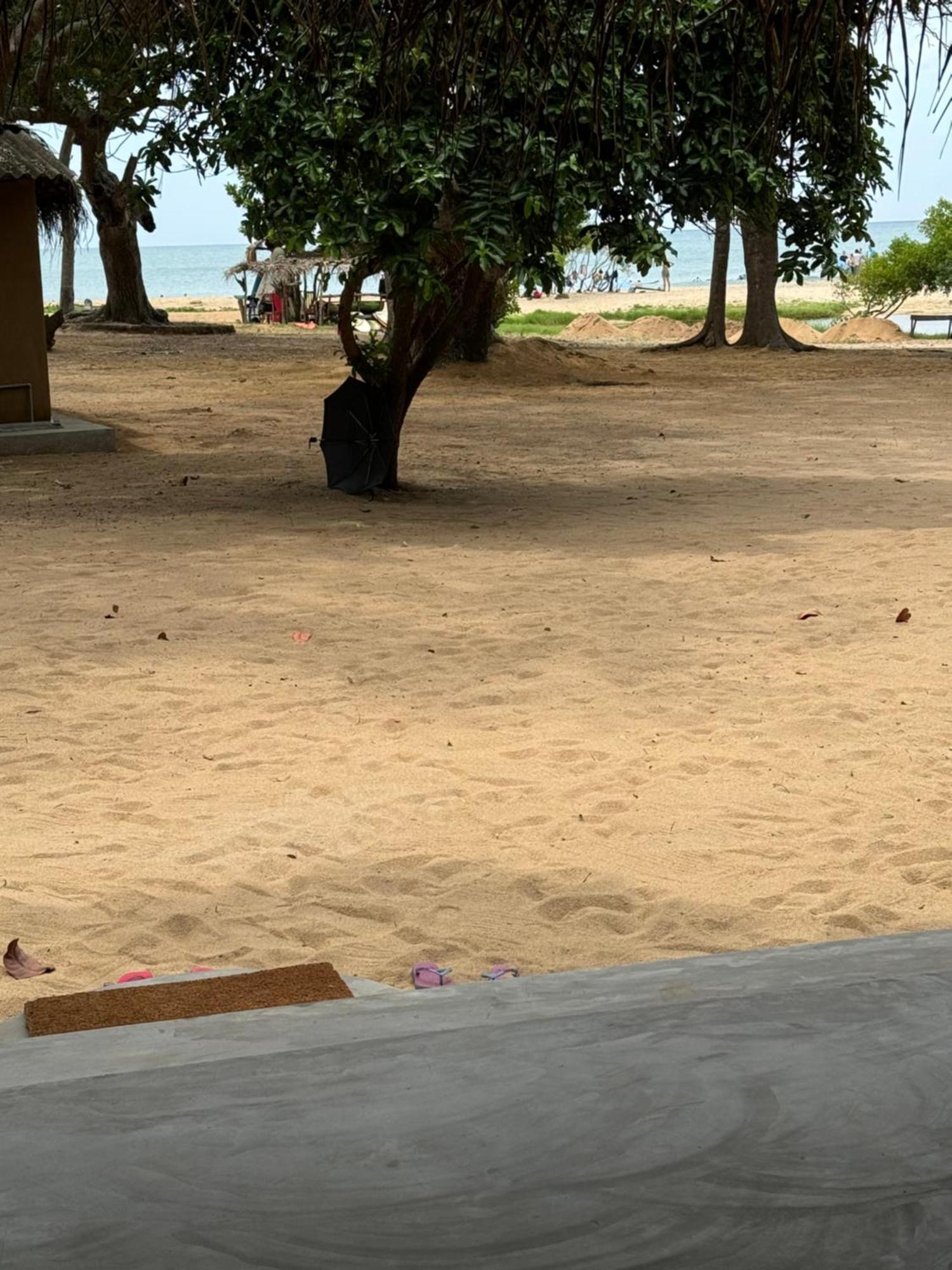 Peanut Farm Surf And Wild Resort - Arugambay Arugam Bay Esterno foto