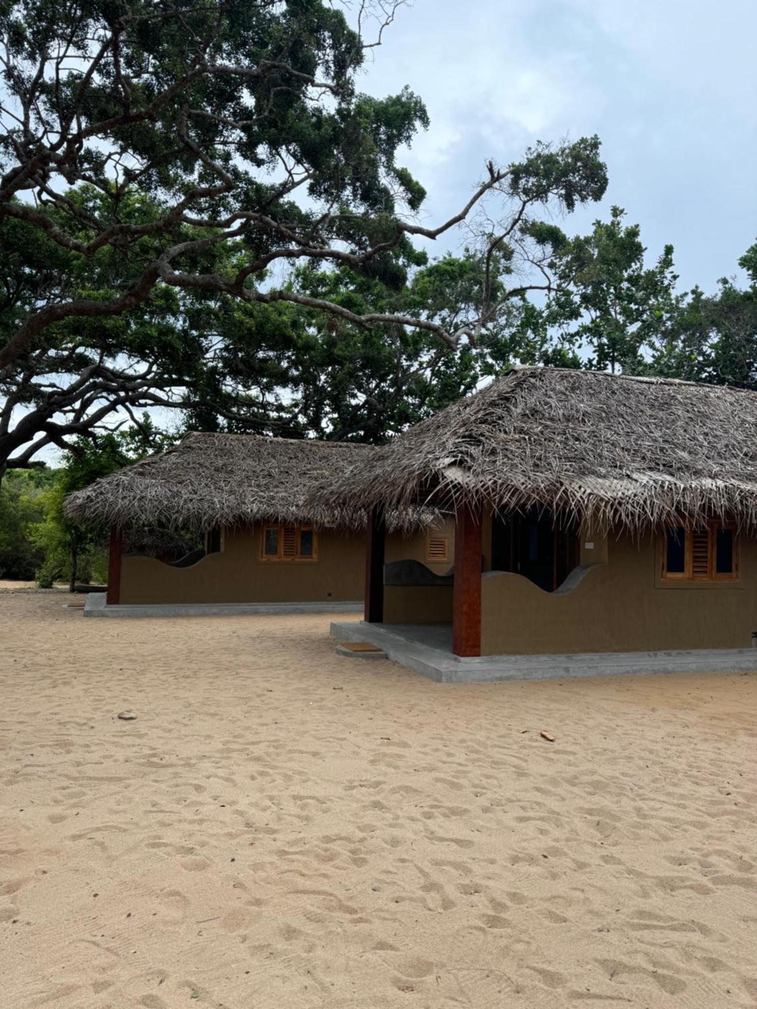 Peanut Farm Surf And Wild Resort - Arugambay Arugam Bay Esterno foto